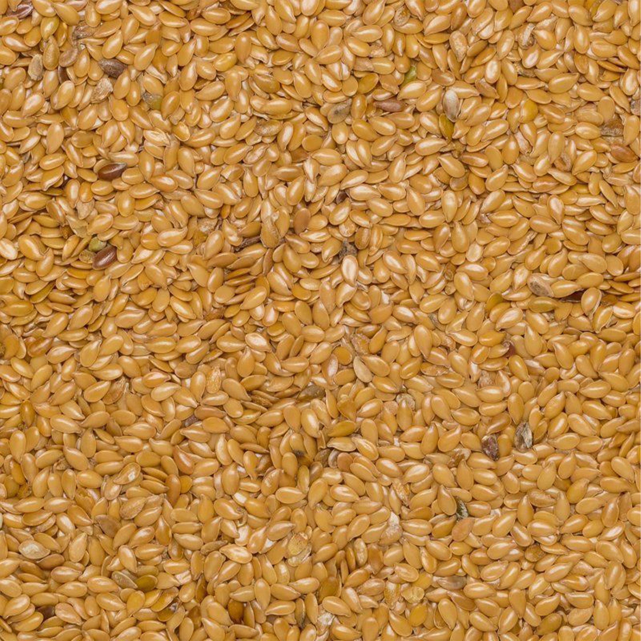 Organic Blond Flax Seeds