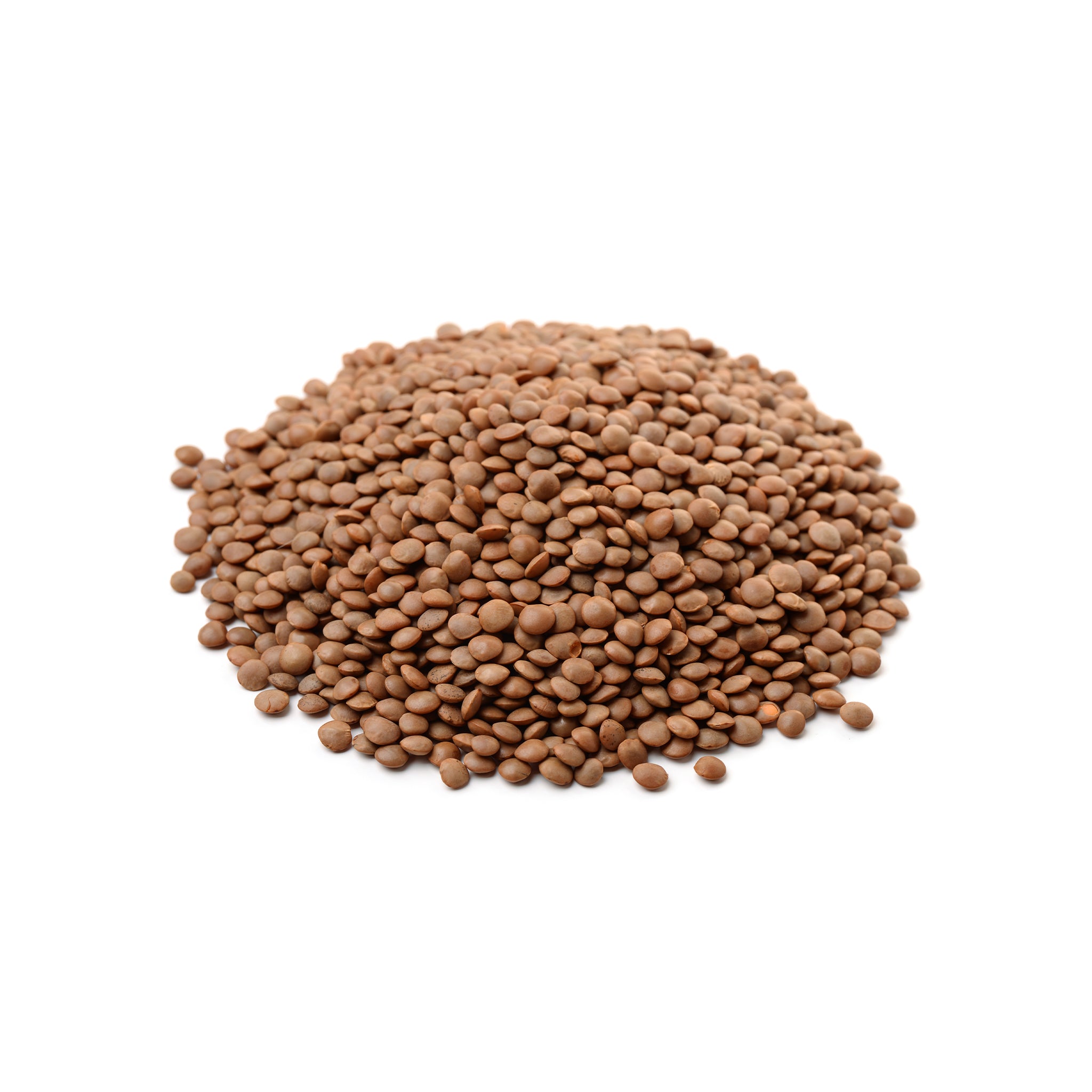 Organic Brown Lentils