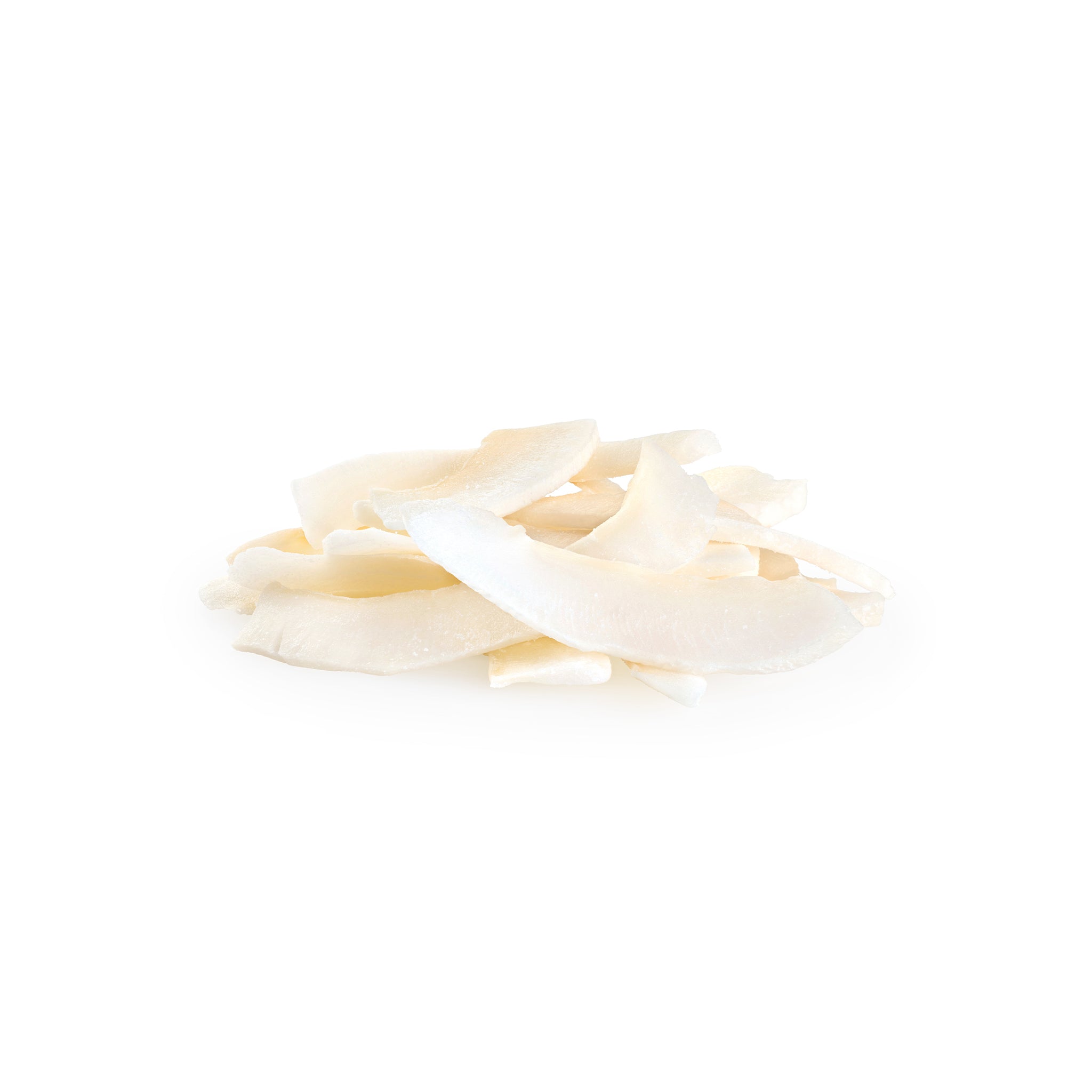 Organic Coconut Chips Natural