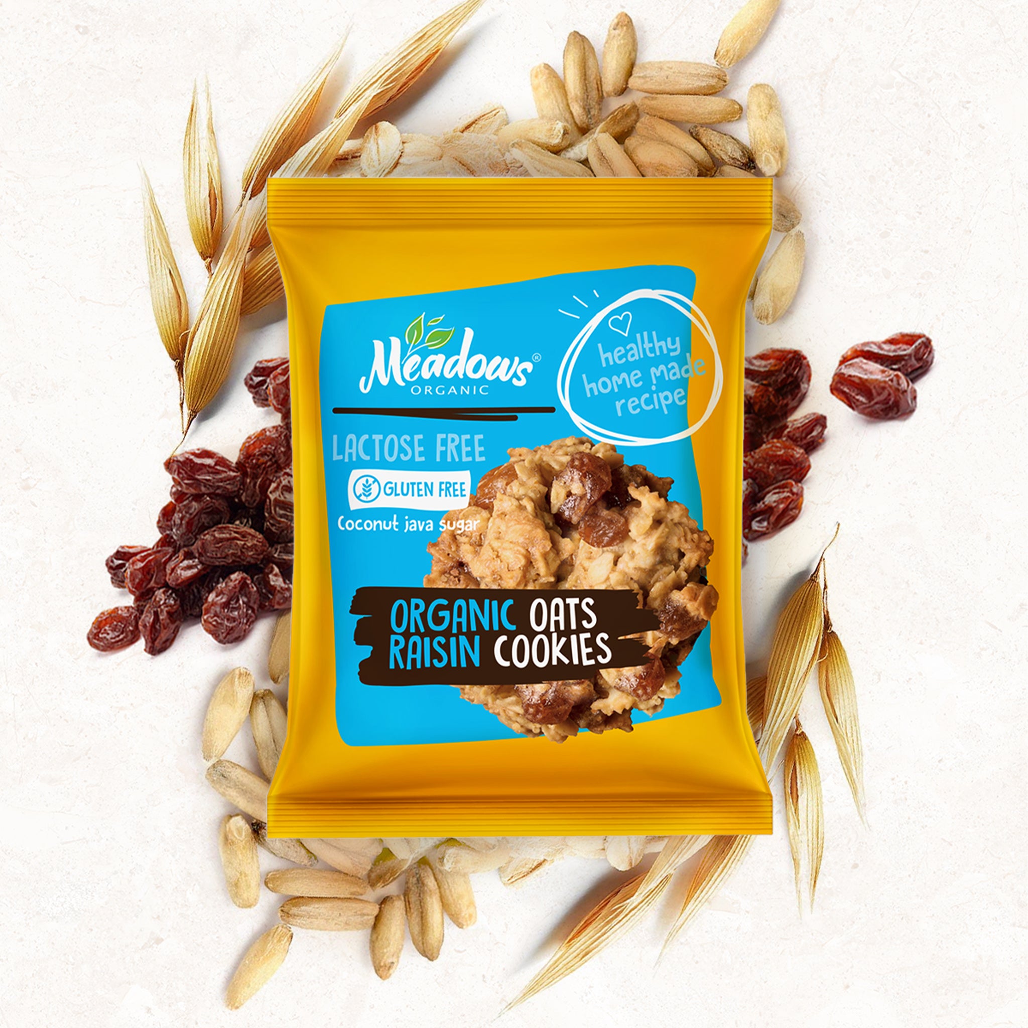 Organic Gluten Free Oats Raisin Cookies