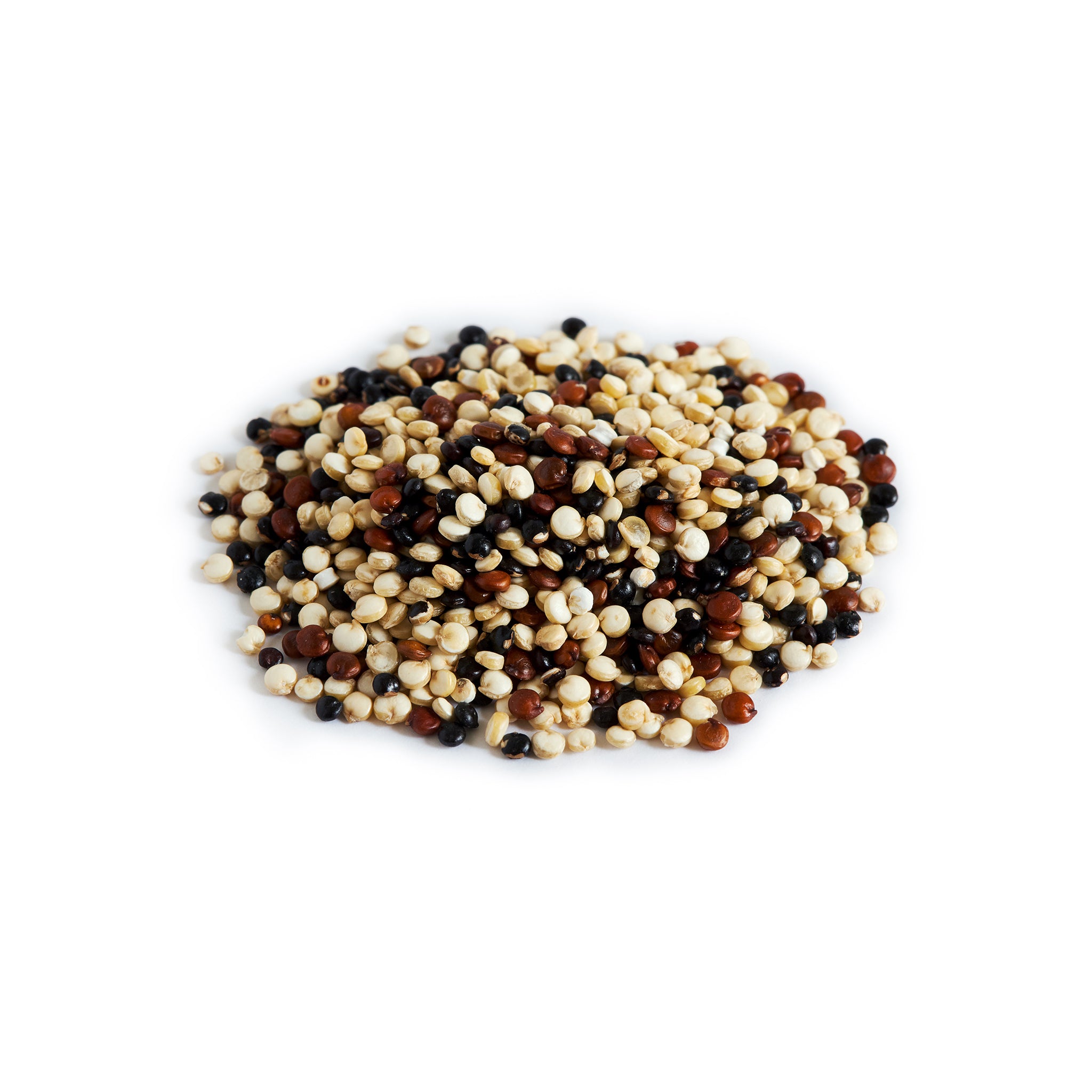 Organic Tricolor Quinoa Seeds